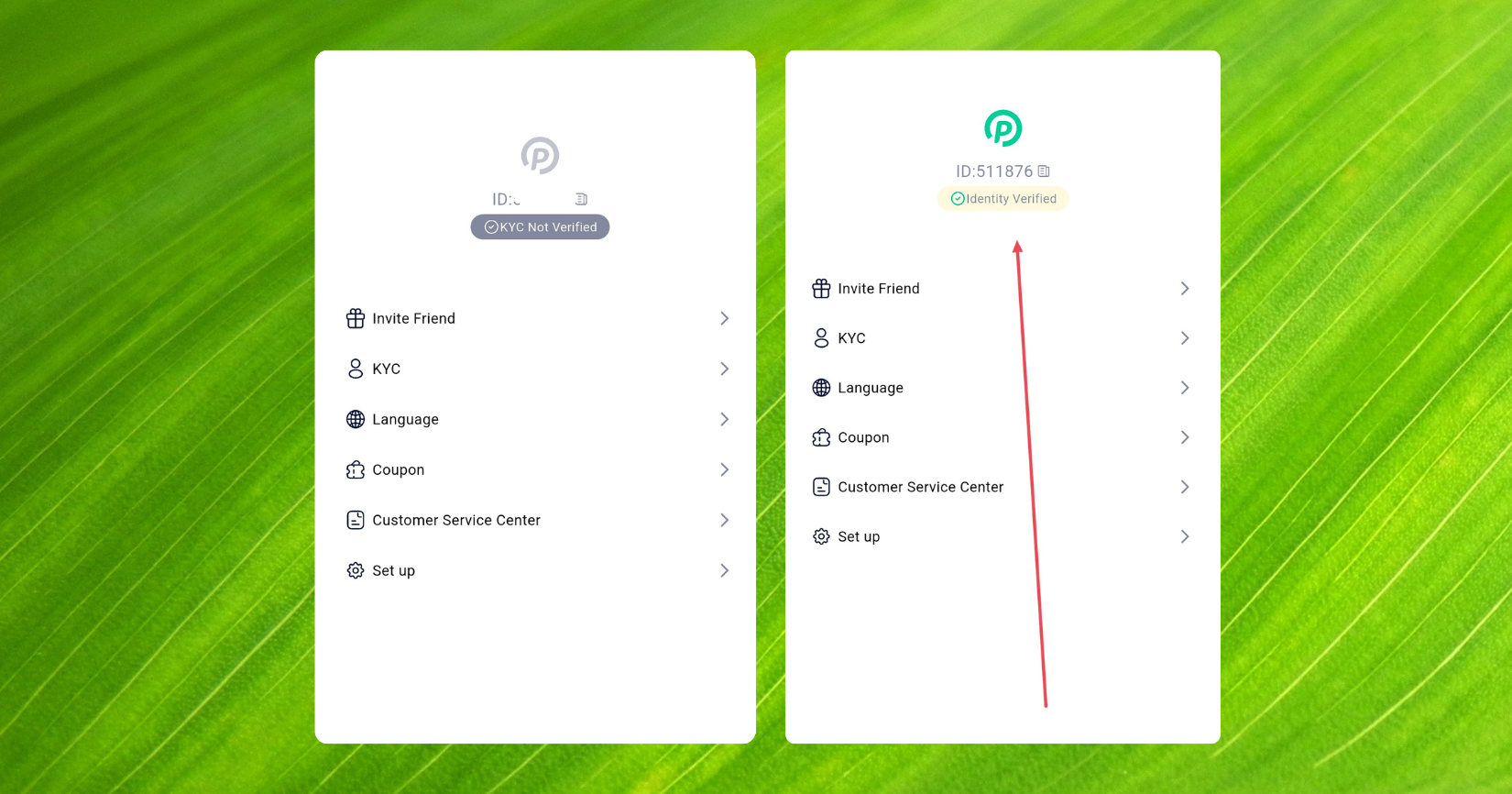 Complete Fast KYC